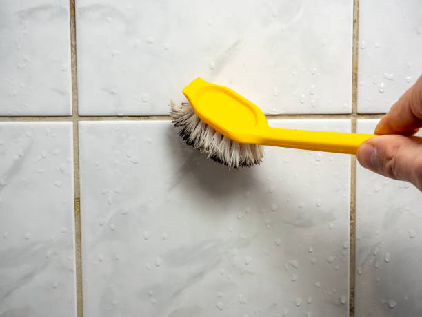 Best Certified Mold Removal  in Enon, VA