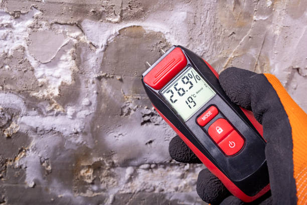 Best Mold Testing  in Enon, VA