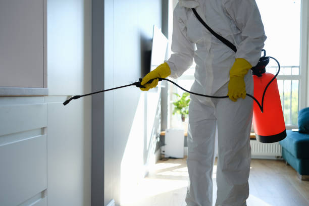 Best Office Mold Removal Services  in Enon, VA