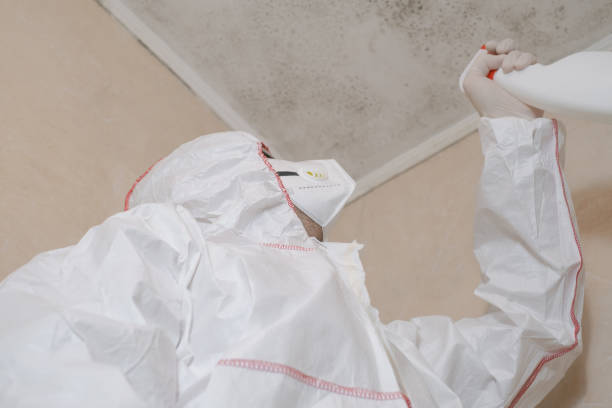 Best Black Mold Removal  in Enon, VA